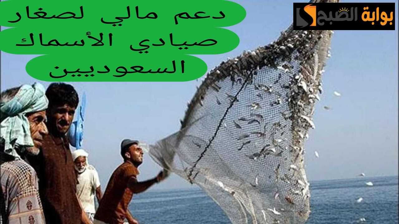 “وزارة البيئة والزراعة توضح” ما هي شروط الدعم المالي لصغار الصيادين