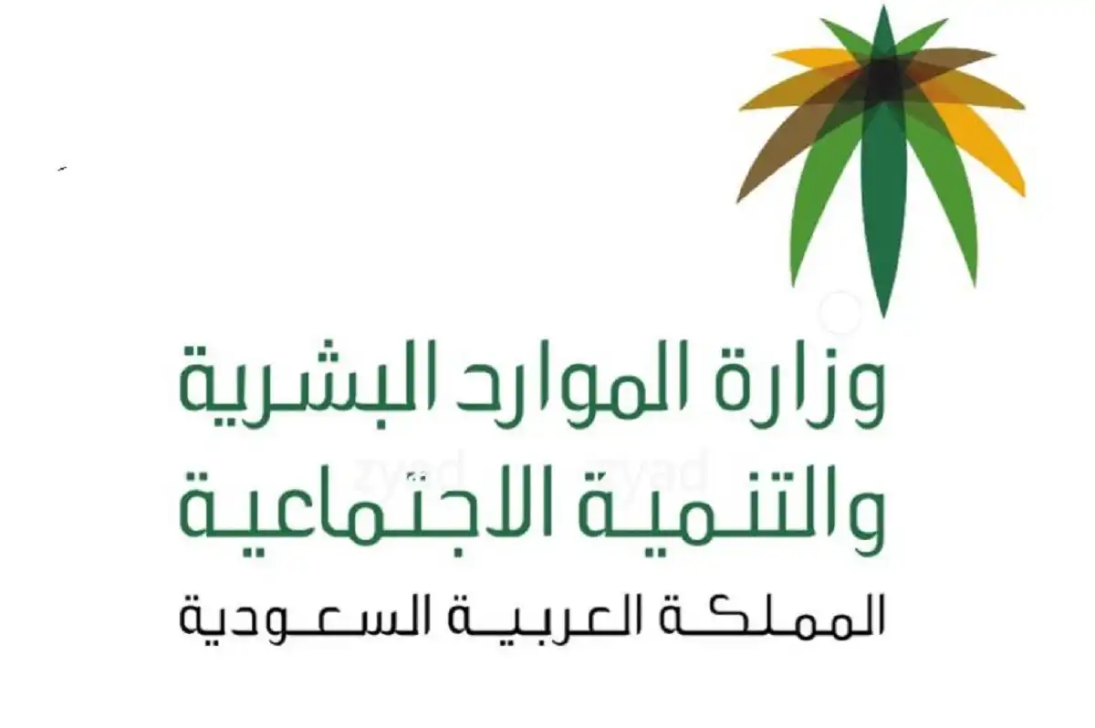 تدريب منتهي بالتوظيف لمستفيدي الضمان الاجتماعي 2024.. وزارة الموارد البشرية تُبشر كلا الجنسين طالع التفاصيل