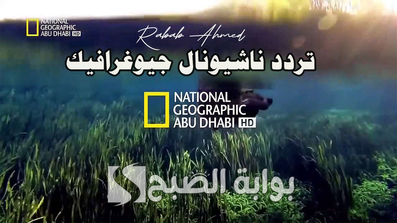 لعشاق الطبيعة والوثائقيات.. تردد ناشيونال جيوغرافيك الجديد 2024 على نايل وعربسات