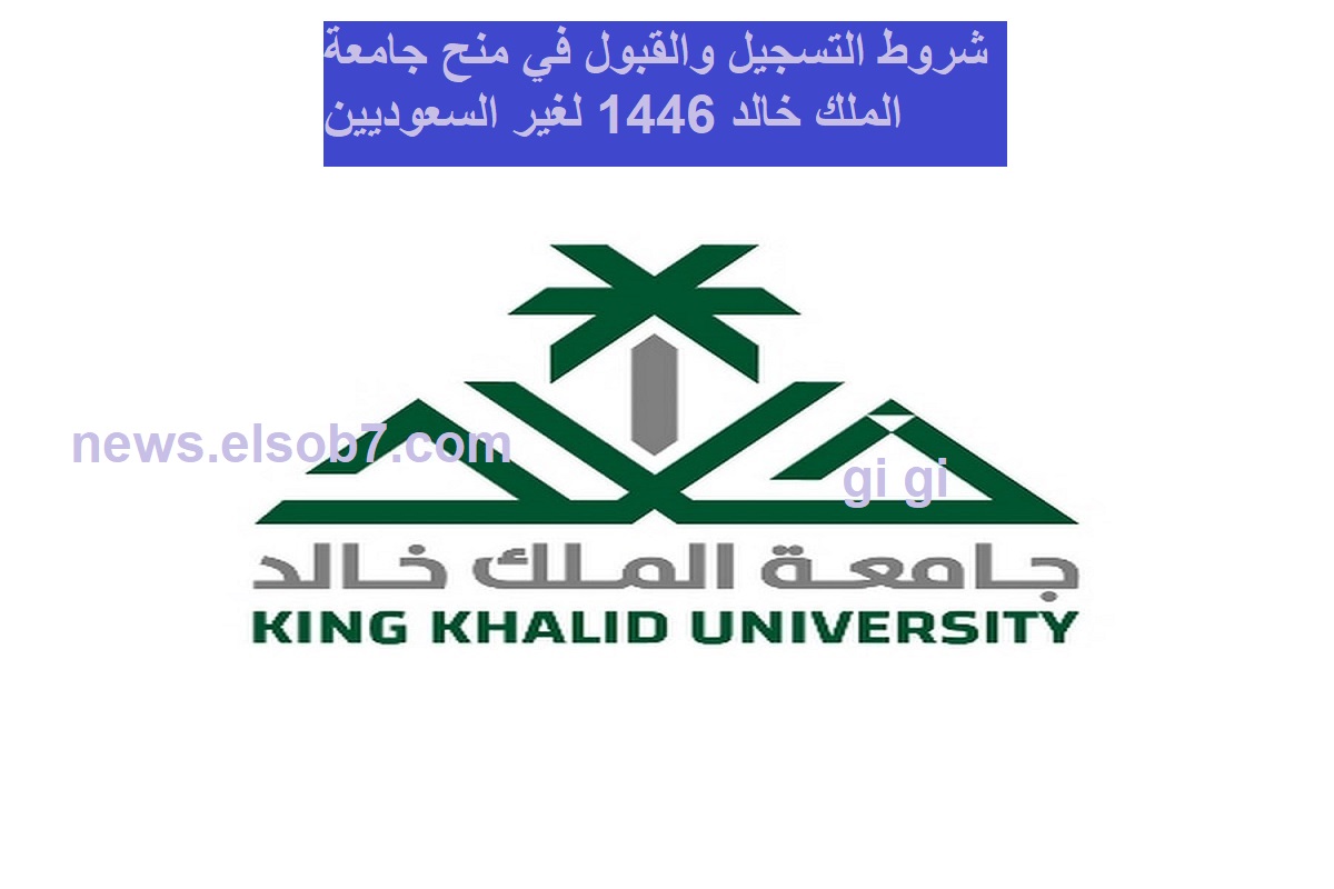 عاجل: جامعة الملك خالد تفتح باب التقديم للمنح الدراسية لغير السعوديين وفق الشروط