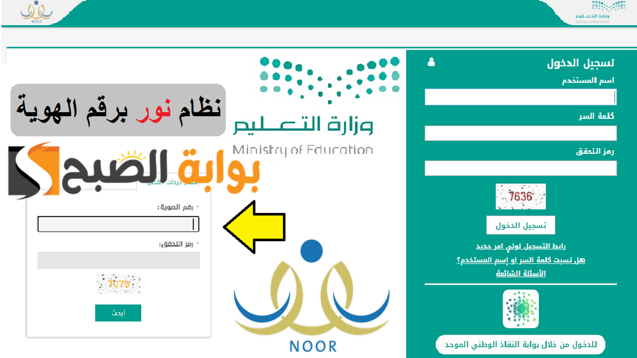 نسيت الباسوورد.. خطوات تسجيل الدخول إلى نظام نور بدون كلمة سر 1446