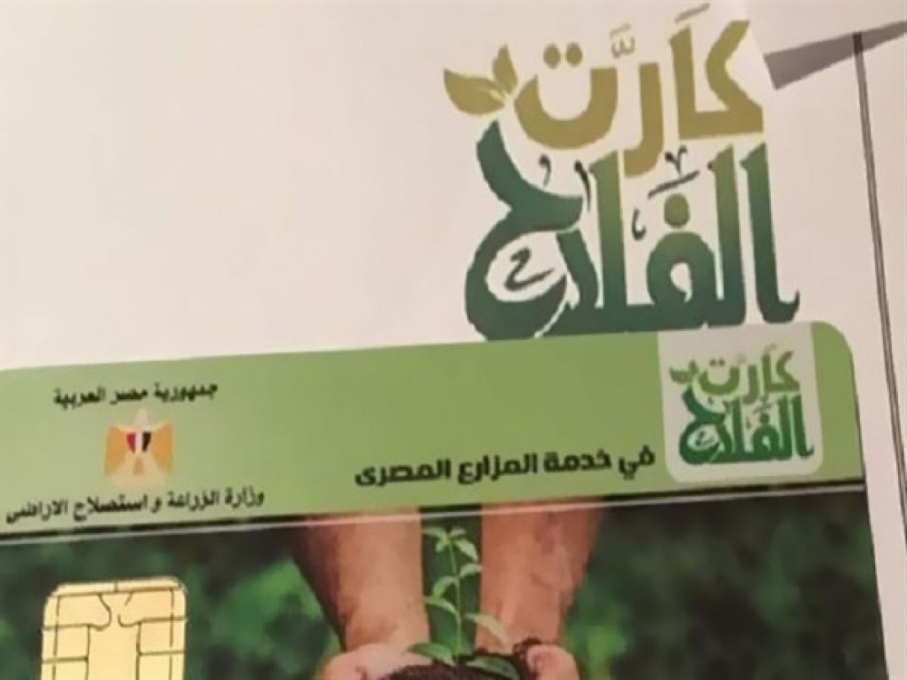 كيفاش استخرج البطاقة.. رابط استخراج بطاقة الفلاح في الجزائر 2024 والشروط والاوراق المطلوبة