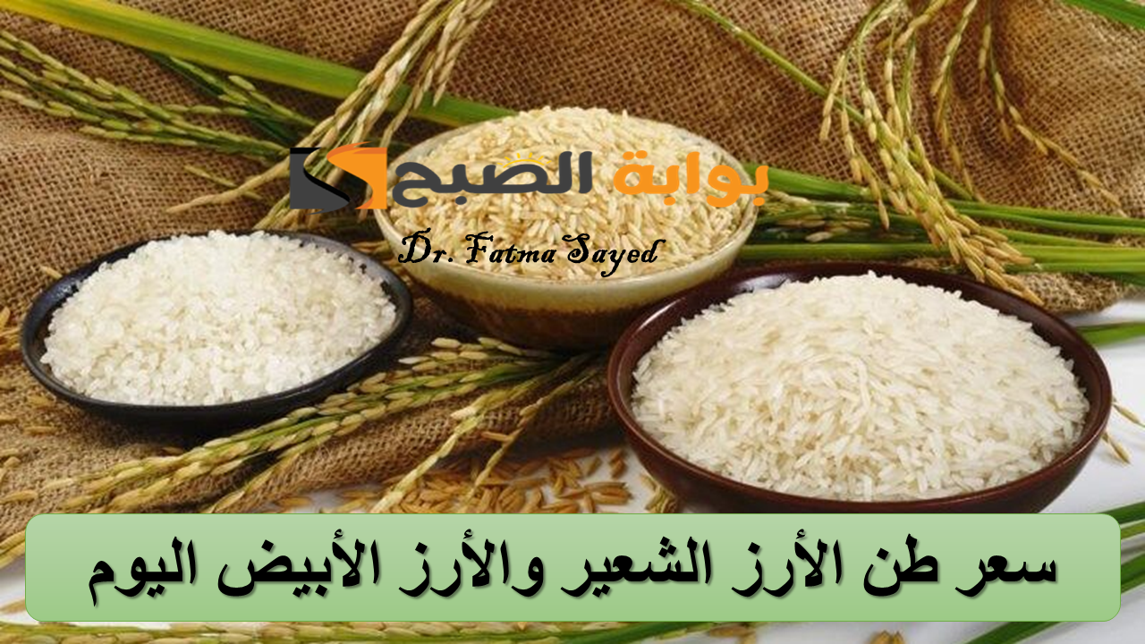 اعرفي هتخزني امته.. سعر طن الأرز الشعير والأرز الأبيض في مصر اليوم الإثنين 16 سبتمبر 2024 “الحبة العريضة والرفيعة”