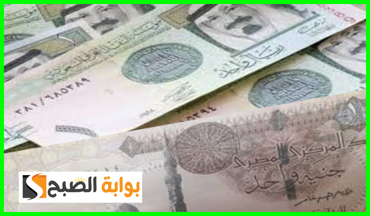 استقرار سعر الريال السعودي مقابل الجنيه المصري في معظم البنوك اليوم الثلاثاء 3-9-2024