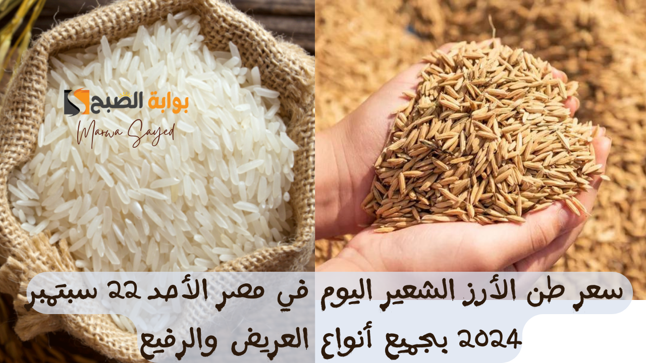 “هل سيظل أسعار أرز الشعير مرتفعة رغم توفره؟”.. إليك سعر الطن اليوم في مصر الأحد 22 سبتمبر 2024 بجميع أنواع العريض والرفيع