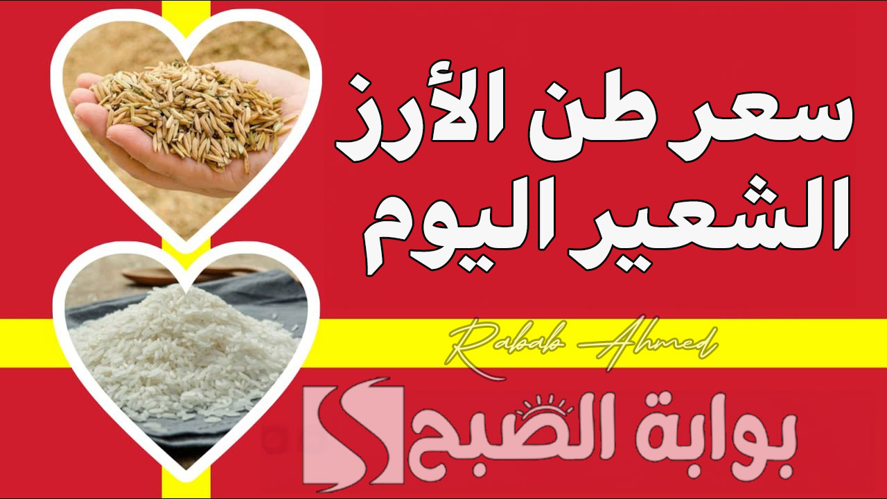 “بكام الرز النهاردة”.. سعر طن الأرز الشعير اليوم الأربعاء 11 سبتمبر وكيلو “الأرز الأبيض” العريض والرفيع