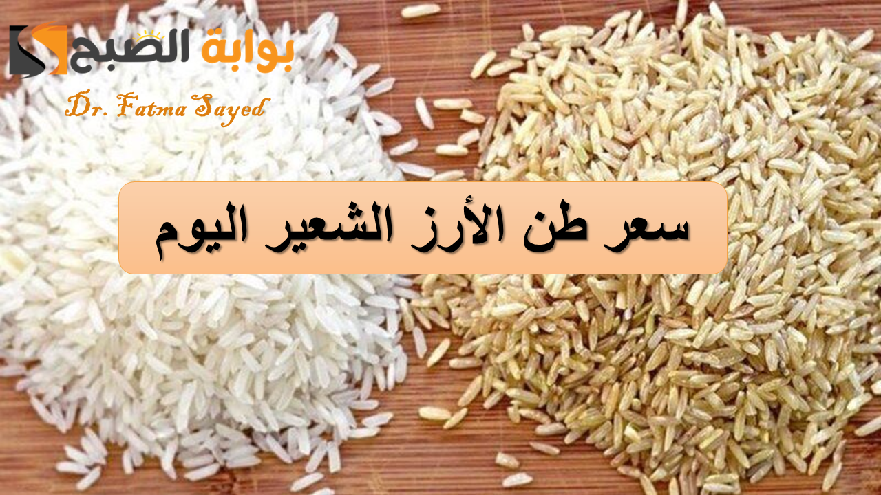 “الحبة الرفيعة والعريضة”.. سعر طن الأرز الشعير اليوم الثلاثاء 4 مارس في مصر وأسعار السلع التموينية