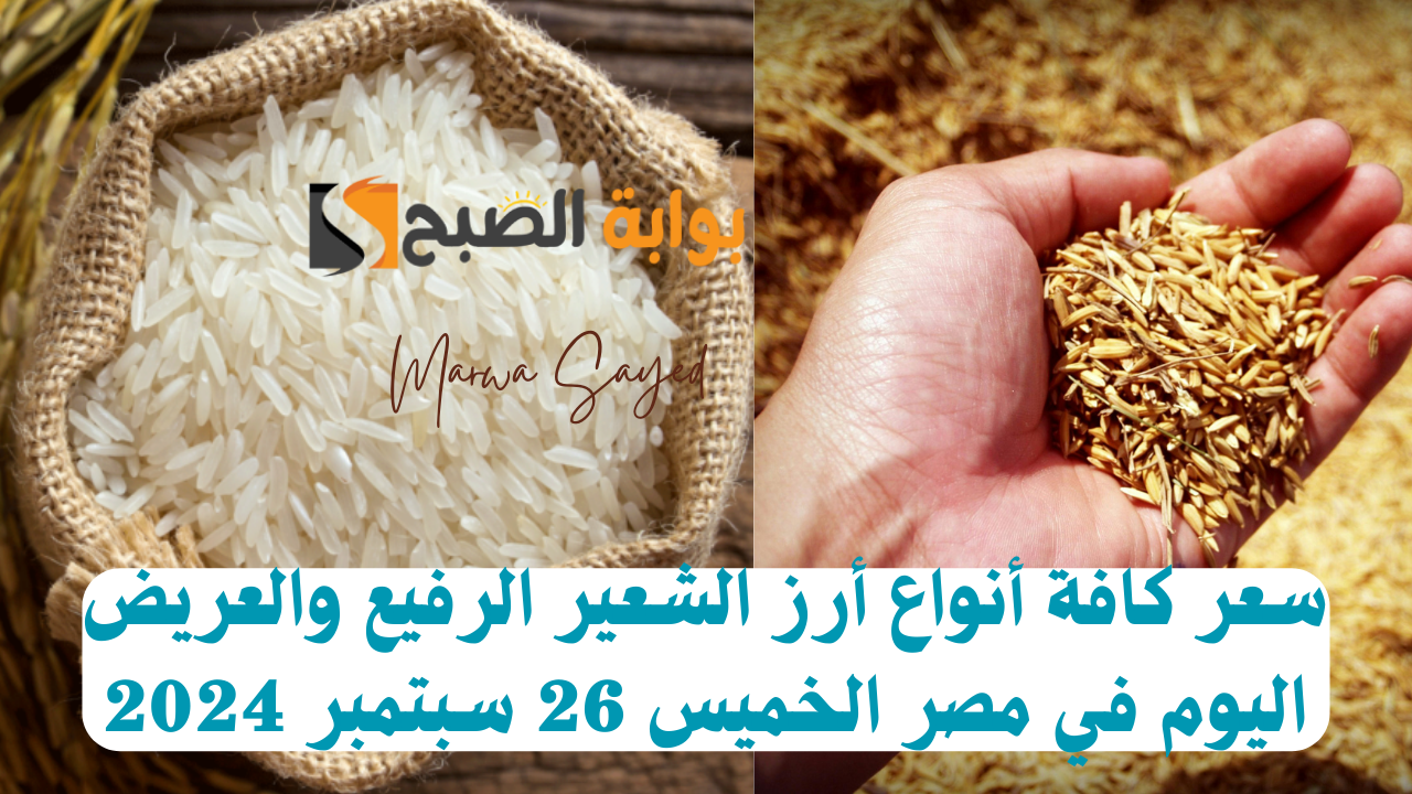 “بكام الكيلو وصل اليوم” .. سعر كافة أنواع أرز الشعير الرفيع والعريض اليوم في مصر الخميس 26 سبتمبر 2024