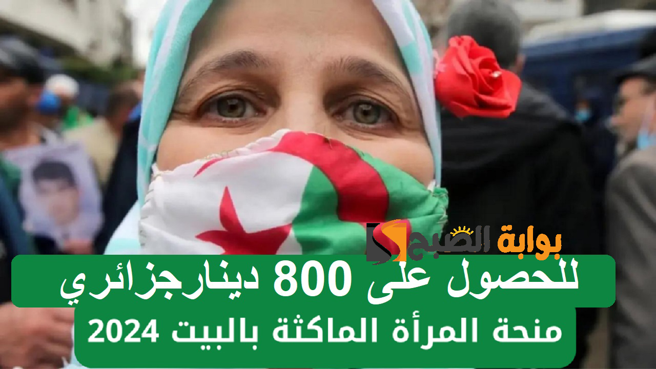 التشغيل الجزائرية .. شروط التسجيل في منحة المرأة الماكثة في البيت بالجزائر 2024 وخطوات التسجيل للحصول على 800 دينار