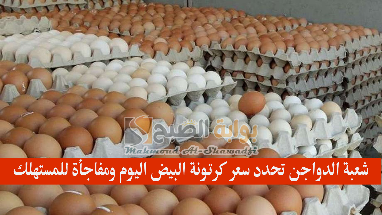 “سعرها غير عادل”.. شعبة الدواجن تحدد سعر كرتونة البيض اليوم ومفاجأة للمستهلك