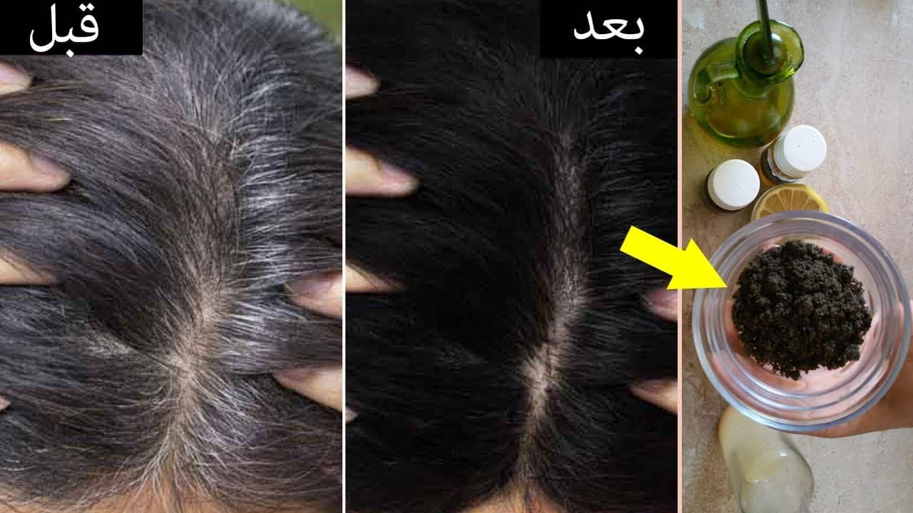 مدايقك ومكسوفة منه تعالى هعلمك وصفات طبيعة للتخلص من شيب الشعر بواصفات طبيعية امنه وتغذي وترطب الشعر