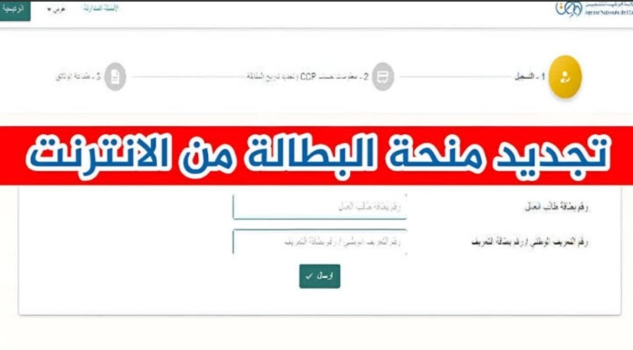 من هُنا..طريقة تجديد منحة البطالة في الجزائر 2024 خطوة بخطوة