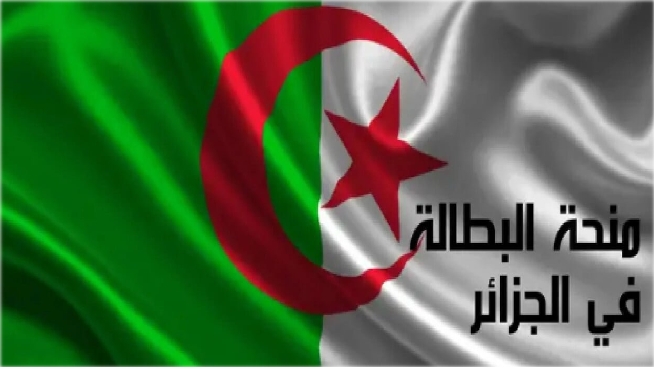 الوكالة الوطنية للتشغيل توضح كيفية التقديم على منحة البطالة في الجزائر والشروط المطلوبة 