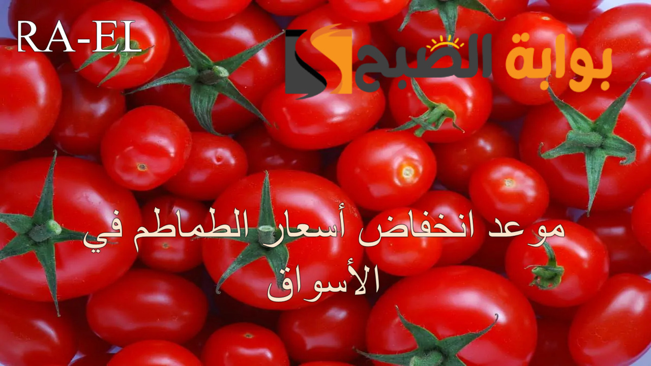 رئيس الوزراء مصطفي مدبولي يعلن عن.. موعد انخفاض أسعار الطماطم في الأسواق لافتاً للسبب الحقيقي وراء ارتفاعها