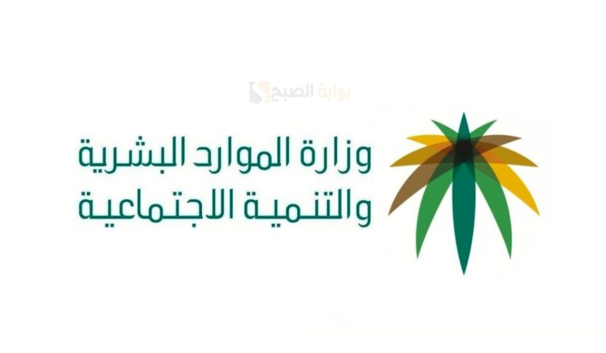 طريقة التحقق من نتائج أهلية الضمان الاجتماعي المطور فور ظهورها