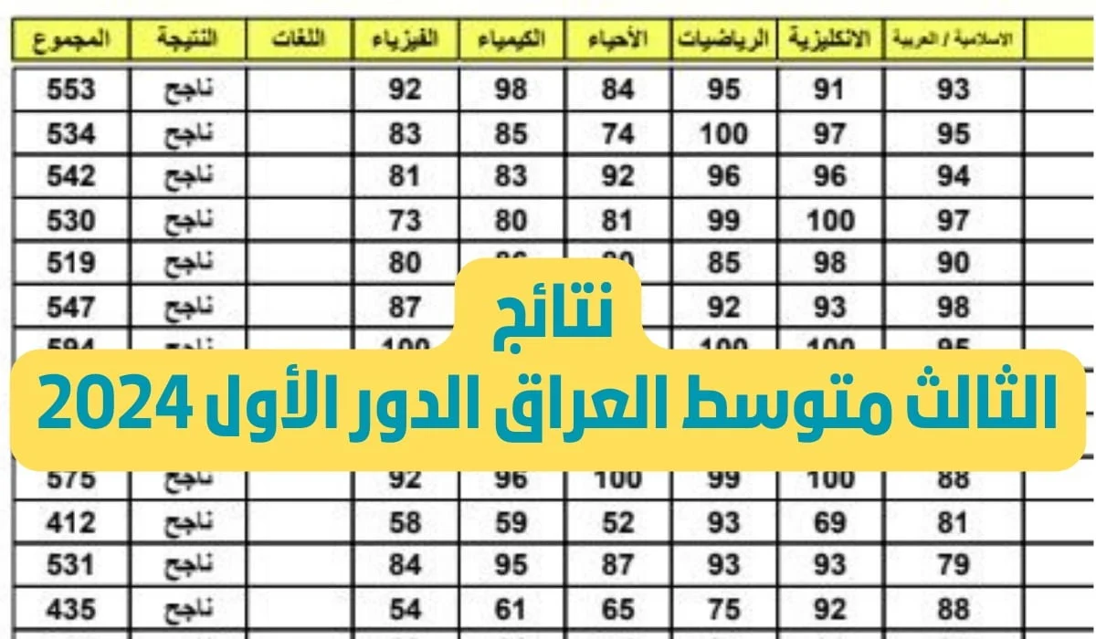 رابط نتائج الثالث المتوسط 2024 الدور الثاني من موقع وزارة التربية والتعليم العراقية