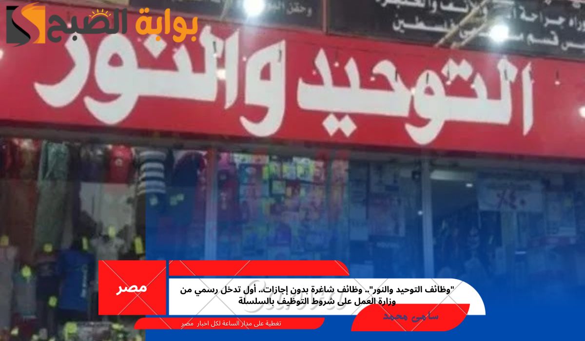 “وظائف التوحيد والنور”.. وظائف شاغرة بدون إجازات.. أول تدخل رسمي من وزارة العمل على شروط التوظيف بالسلسلة