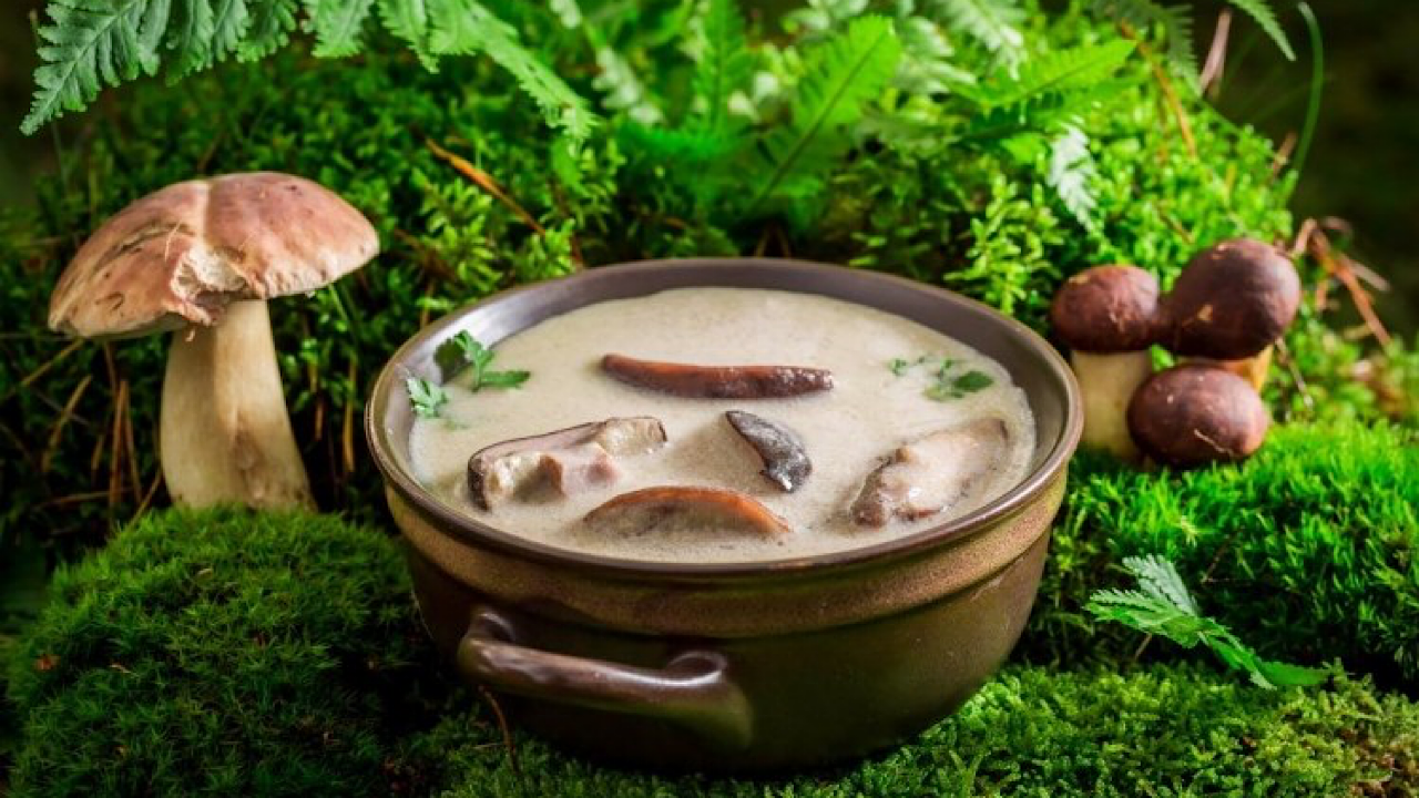 شهية وسريعة .. طريقة عمل شوربة الفطر الكريمية