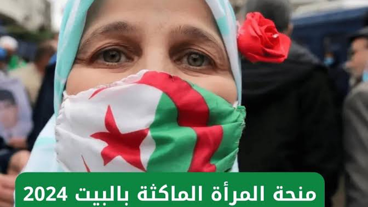 800 دينار..شروط طلب التسجيل في منحة المرأة الماكثة بالبيت وطريقة التقديم في المنحة بالجزائر