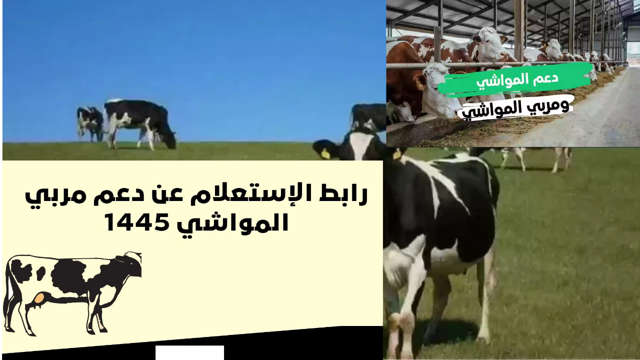 رابط استعلام دعم ريف 2024.. موعد نزول الدعم وشروط الأهلية لأسر المزارعين
