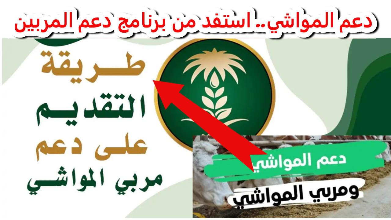 فرصتك الذهبية.. دعم المواشي.. استفد من برنامج دعم المربين وحقق النمو المستدام!