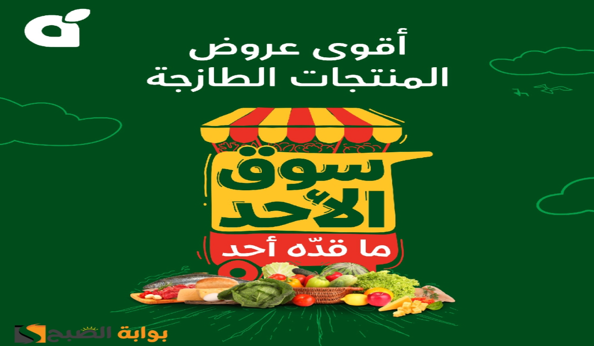 “اغتنموا الفرصة قبل النفاذ”.. أقوي عروض هايبر بنده السعودية الطازج اليوم الأحد 27 أكتوبر 2024
