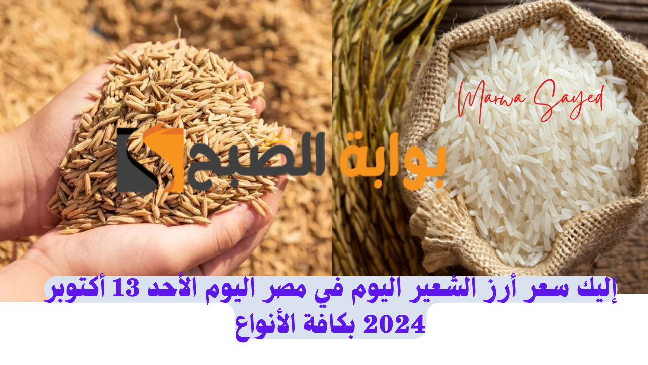 “شوف سعر الحبة العريضة وصل كام” .. إليك سعر أرز الشعير اليوم في مصر اليوم الأحد 13 أكتوبر 2024 بكافة الأنواع