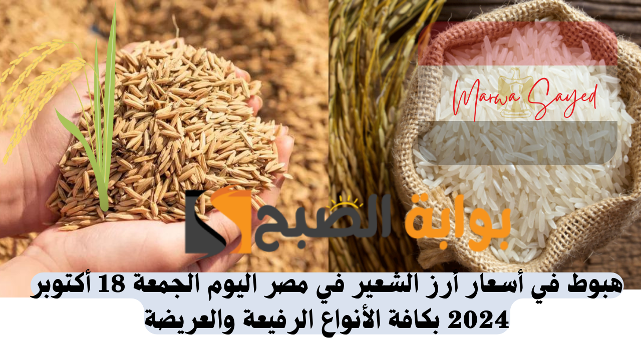 “بكم سعر الكيلو وصل النهاردة” .. هبوط في أسعار أرز الشعير في مصر اليوم الجمعة 18 أكتوبر 2024 بكافة الأنواع الرفيعة والعريضة