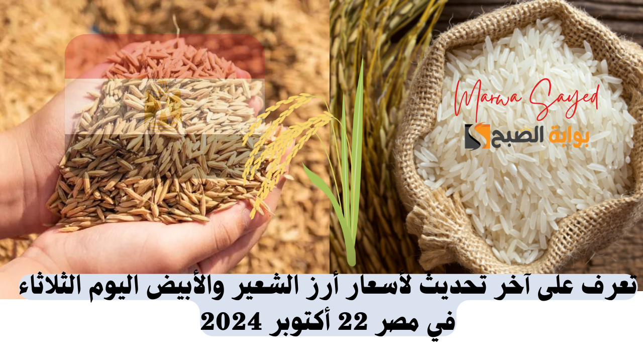 “وصل سعر الحبة العريضة كام النهاردة” .. تعرف على آخر تحديث لأسعار أرز الشعير والأبيض اليوم الثلاثاء في مصر 22 أكتوبر 2024