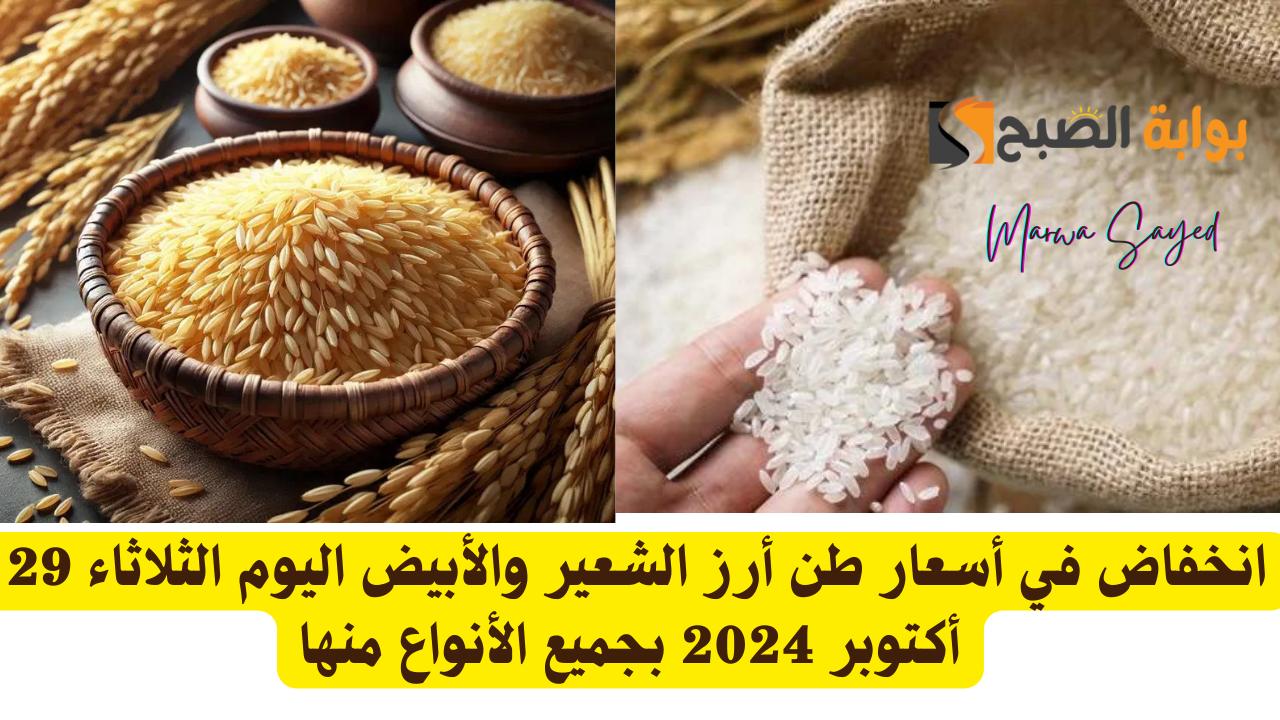 “الحبة العريضة وصلت كام النهاردة” .. انخفاض في أسعار طن أرز الشعير والأبيض اليوم الثلاثاء 29 أكتوبر 2024 بجميع الأنواع منها