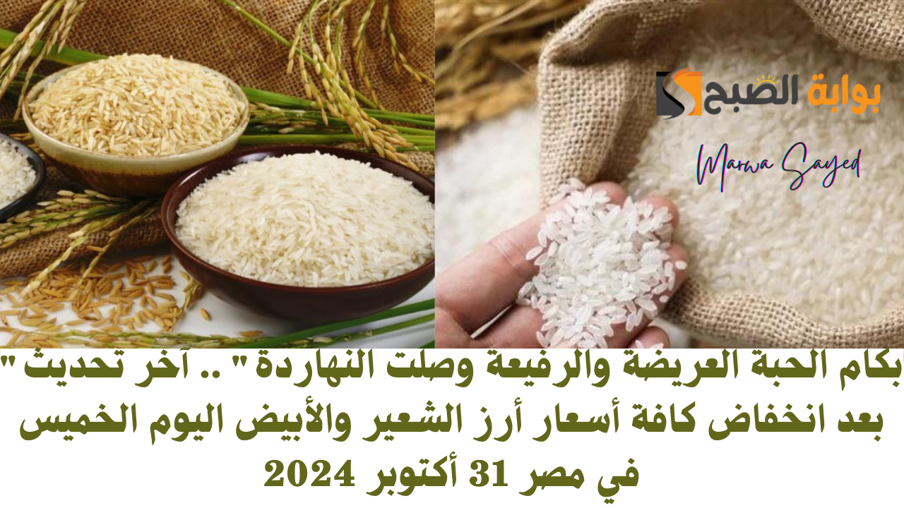 “بكام الحبة العريضة والرفيعة وصلت النهاردة” .. آخر تحديث بعد انخفاض كافة أسعار أرز الشعير والأبيض اليوم الخميس في مصر 31 أكتوبر 2024