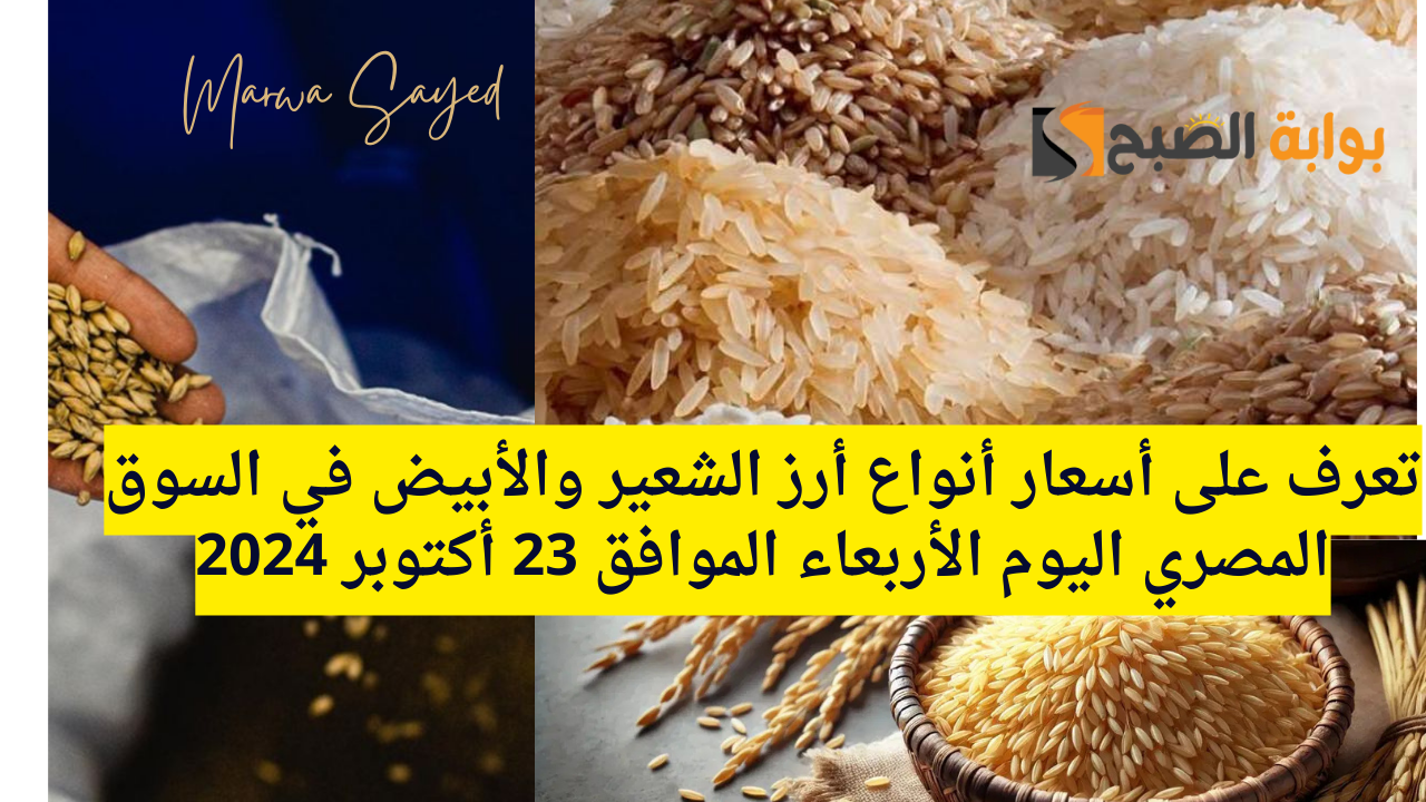 “وصل الكيلو كام النهاردة” .. تعرف على أسعار أنواع أرز الشعير والأبيض في السوق المصري اليوم الأربعاء الموافق 23 أكتوبر 2024
