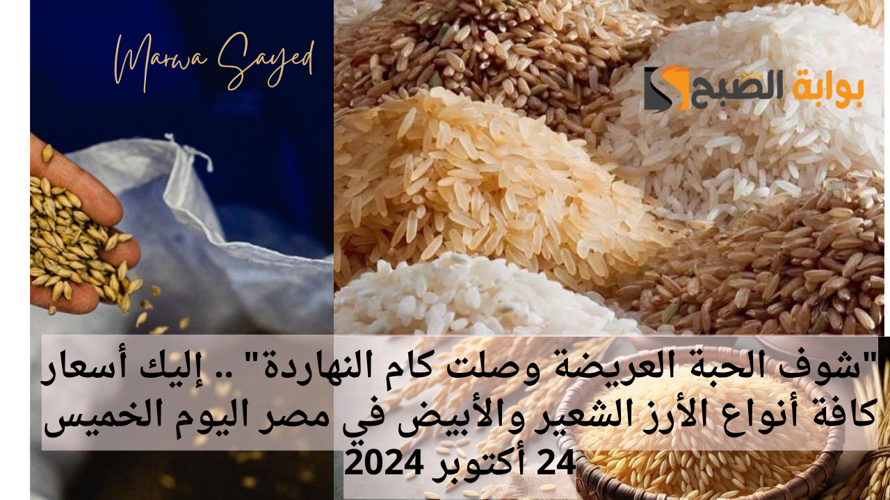 “شوف الحبة العريضة وصلت كام النهاردة” .. إليك أسعار كافة أنواع الأرز الشعير والأبيض في مصر اليوم الخميس 24 أكتوبر 2024
