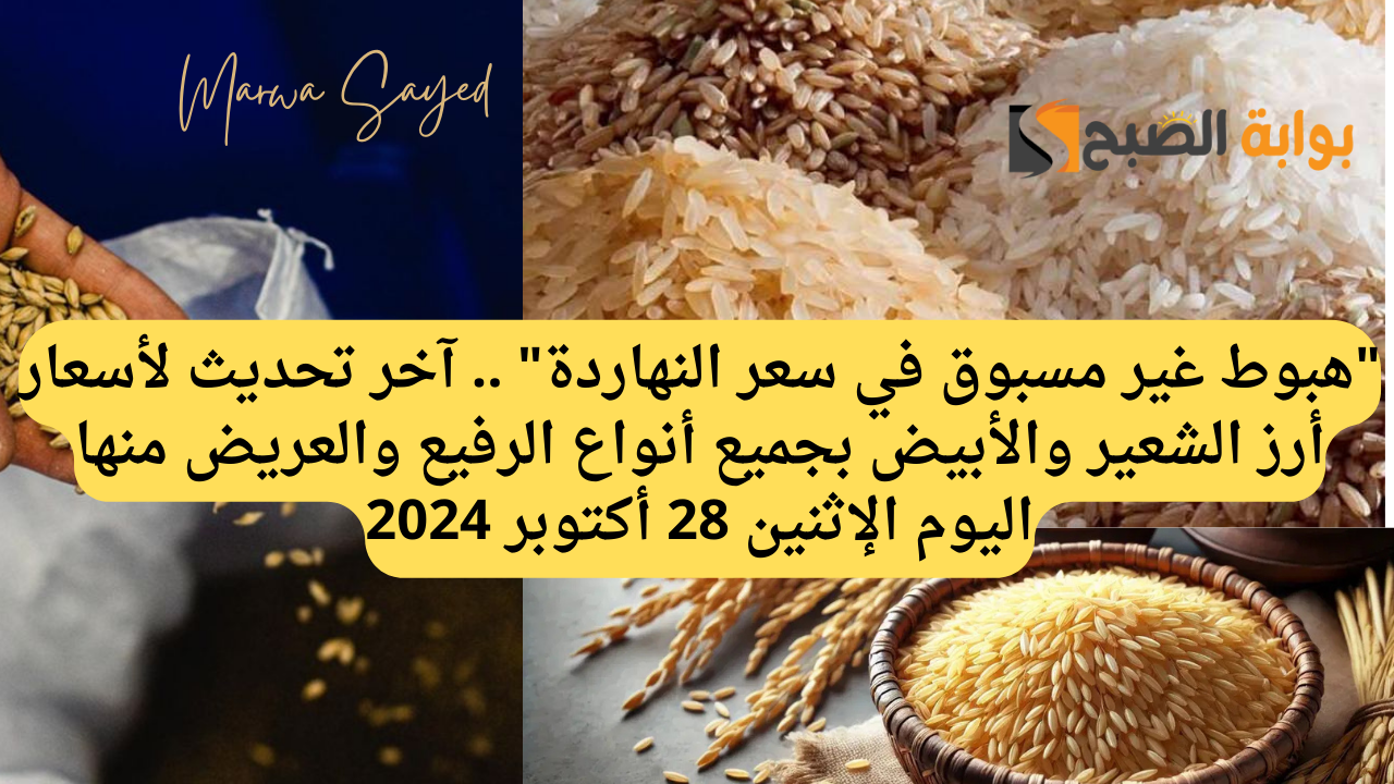 “هبوط غير مسبوق في سعر النهاردة” .. آخر تحديث لأسعار أرز الشعير والأبيض بجميع أنواع الرفيع والعريض منها اليوم الإثنين 28 أكتوبر 2024