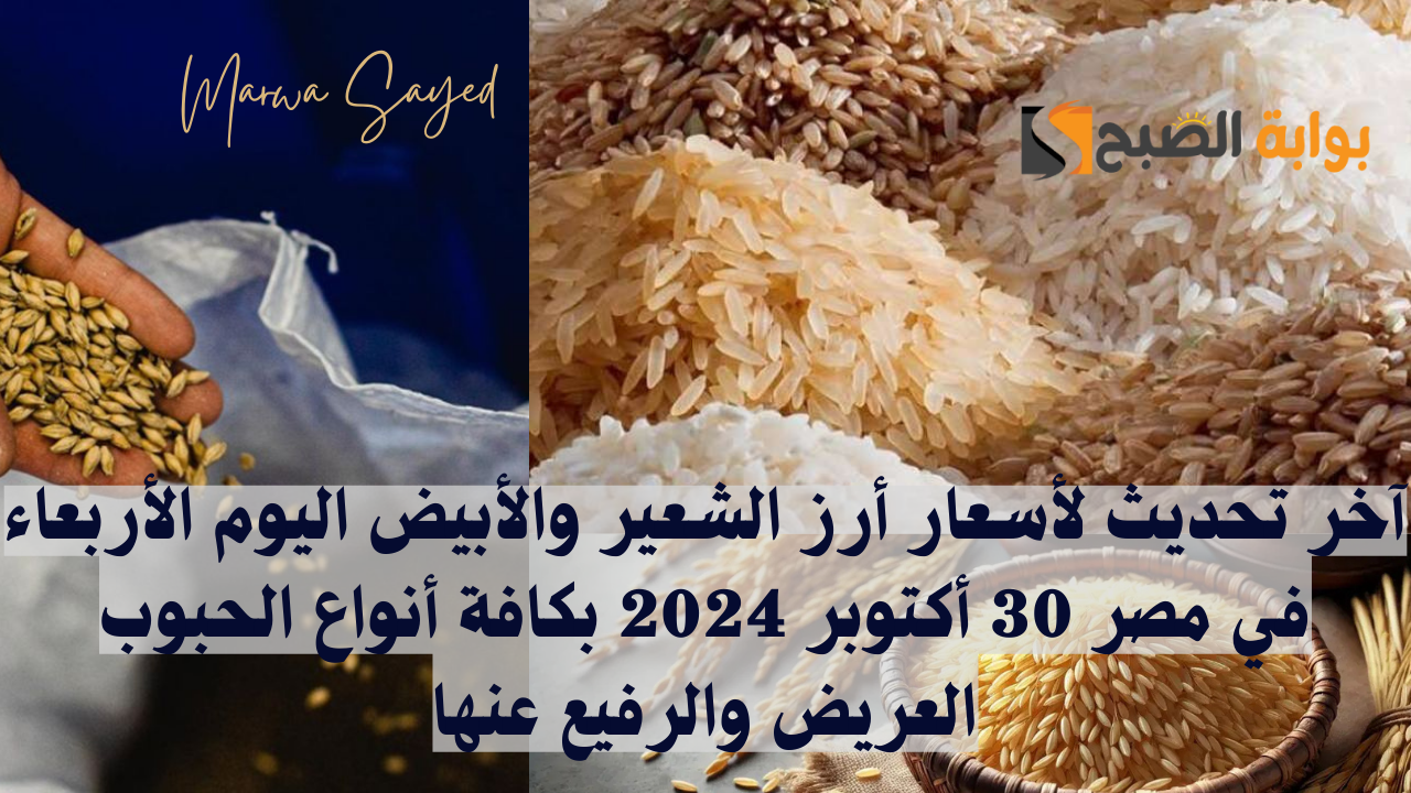 “بكام وصل الكيلو النهاردة” .. آخر تحديث لأسعار أرز الشعير والأبيض اليوم الأربعاء في مصر 30 أكتوبر 2024 بكافة أنواع الحبوب العريض والرفيع عنها