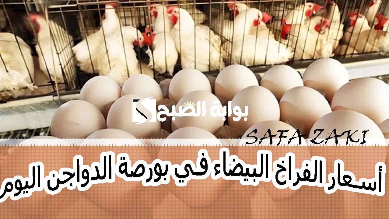 الفرخة تعملها كام أنهاردة .. انحفاض أسعار الفراخ البيضاء في بورصة الدواجن اليوم الإثنين 28 أكتوبر 2024 للبيع للمستهلك بالأسواق