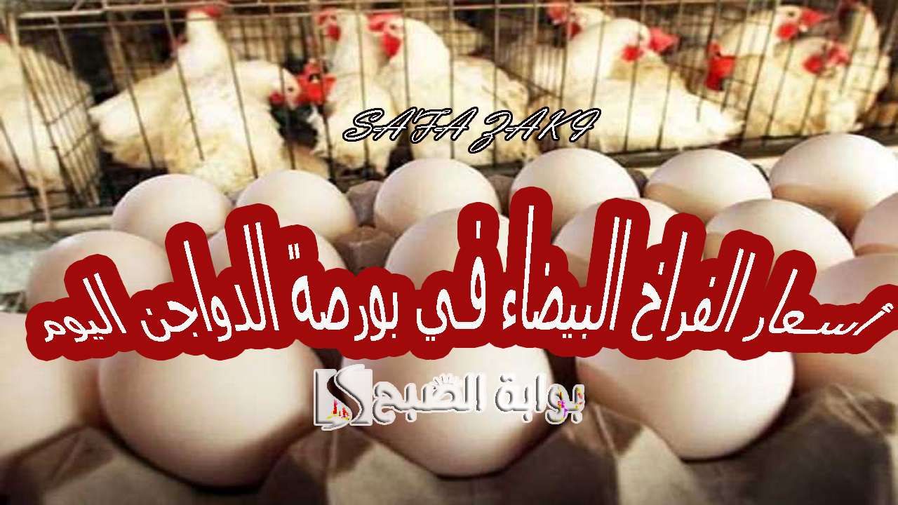 “بكام الفرخة كاملة”.. أسعار الفراخ البيضاء في بورصة الدواجن اليوم الثلاثاء 8 أكتوبر 2024  وسعرها للبيع لمستهلك في الأسواق المحلية