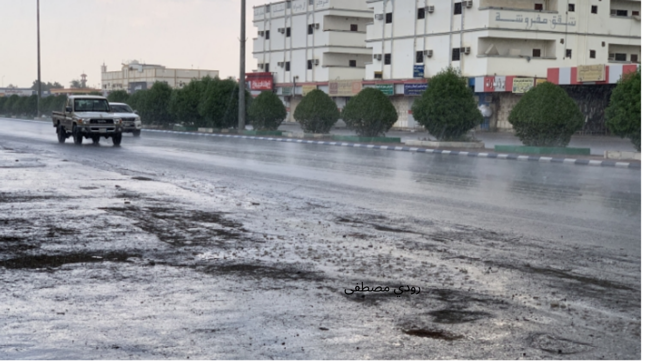 توقعات الأرصاد الجوية.. أمطار غزيرة تؤدي لجريان السيول ورياح نشطة على مناطق واسعة من المملكة