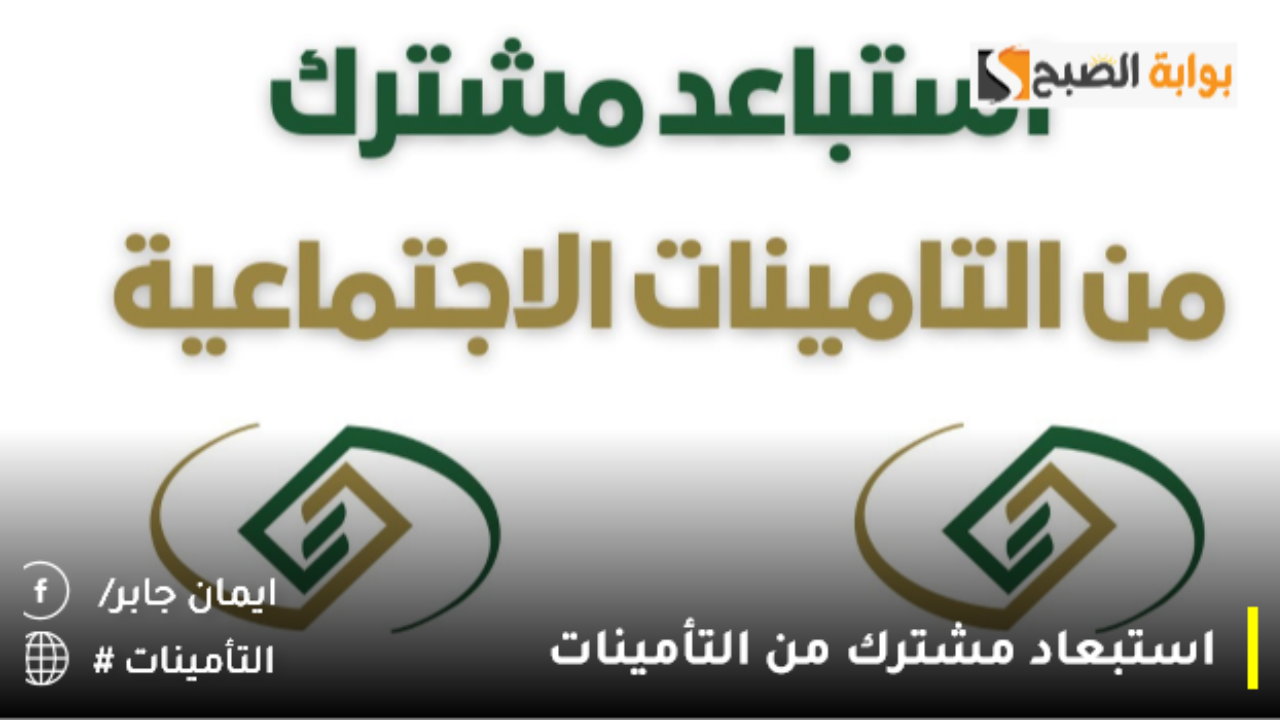 وش سبب استبعاد مشترك من التأمينات 1446؟.. المؤسسة العامة للتأمينات تزيح الستار بشكل تفصيلي