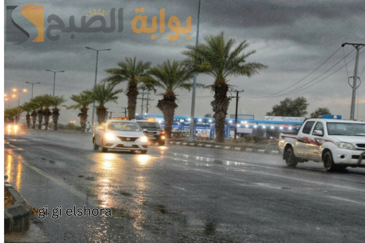 رسميا: تعليق الدراسة وتحويل الاختبارات الشفهية عن بعد بسبب سوء الأحوال الجوية!