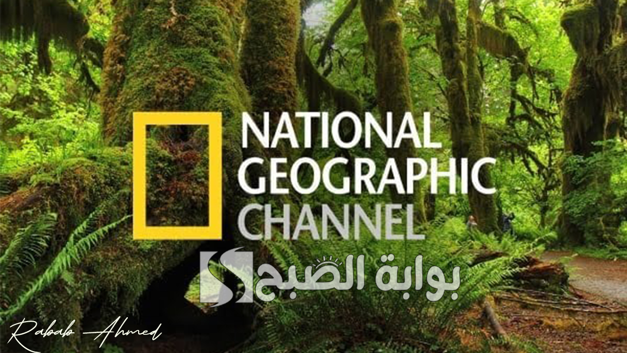 “لعشاق عالم الحيوان”.. تردد قناة ناشيونال جيوغرافيك الجديد 2024 National Geographic على نايل وعربسات