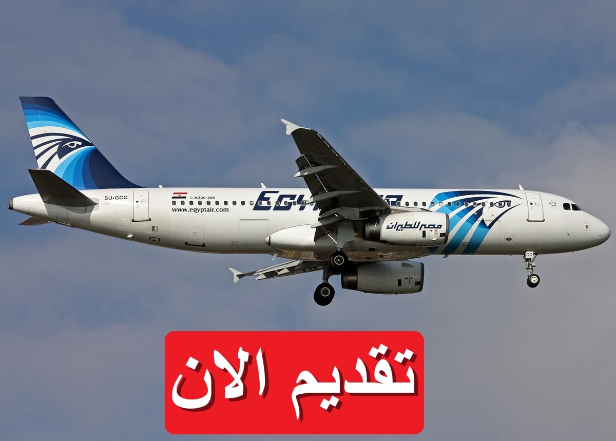 بالرابط والتخصصات.. وظائف مصر للطيران 2024 برواتب مجزية جداً وبدون خبرة