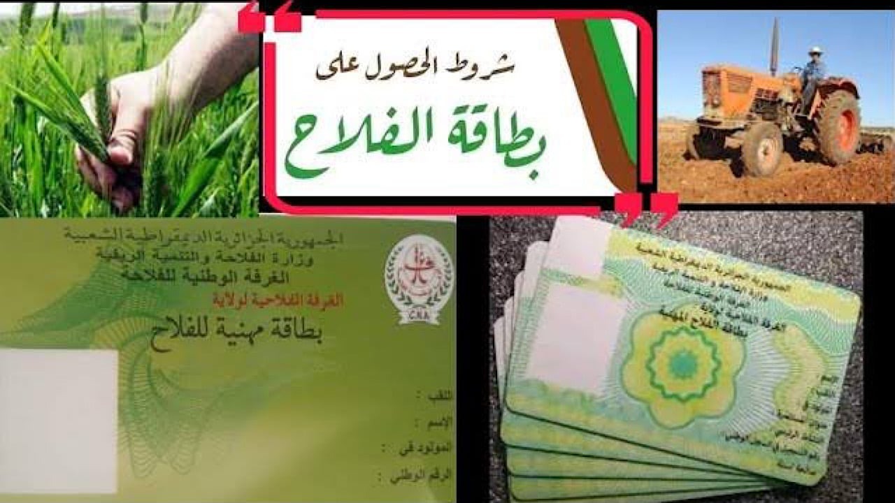 “وزارة الفلاحة والتنمية الريفية”.. رابط استخراج بطاقة الفلاح في الجزائر 2024 والشروط المطلوبة