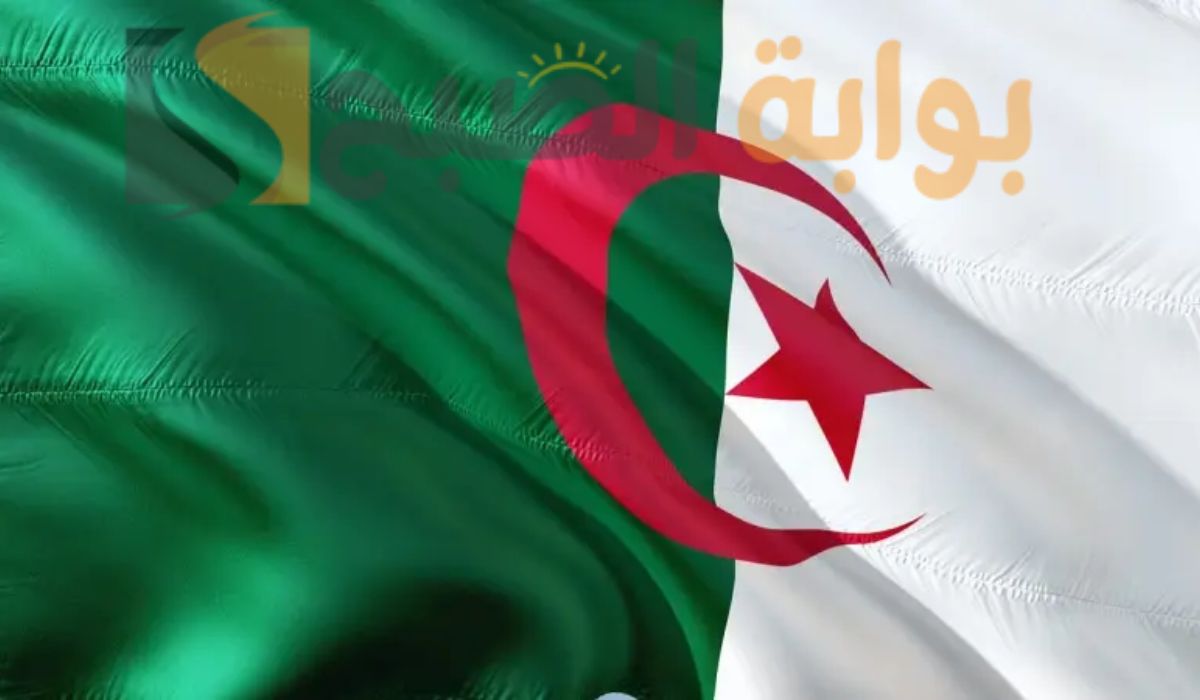 حقيقة أم شائعة؟.. رفع سن التقاعد للنساء في الجزائر 2024.. وزارة المالية توضح كافة التفاصيل الآن