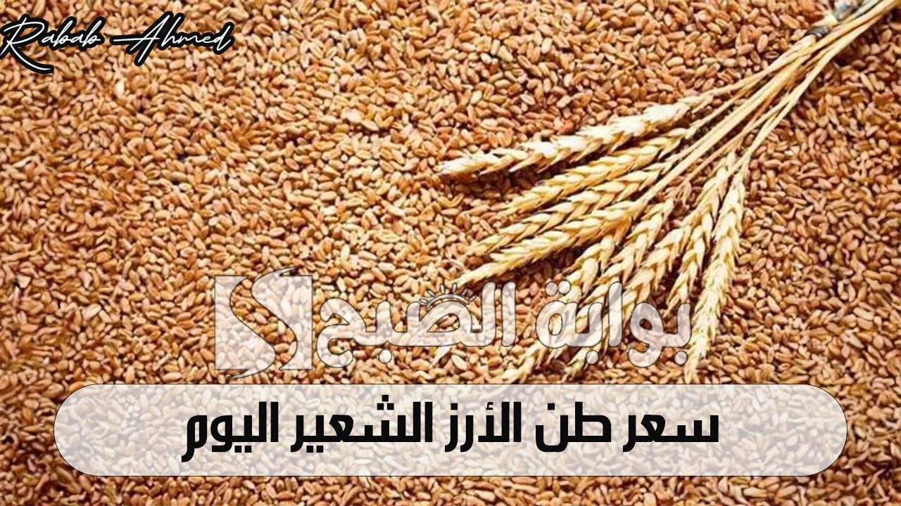 سعر طن الأرز الشعير اليوم الثلاثاء 15 أكتوبر 2024 وأسعار السلع الأساسية