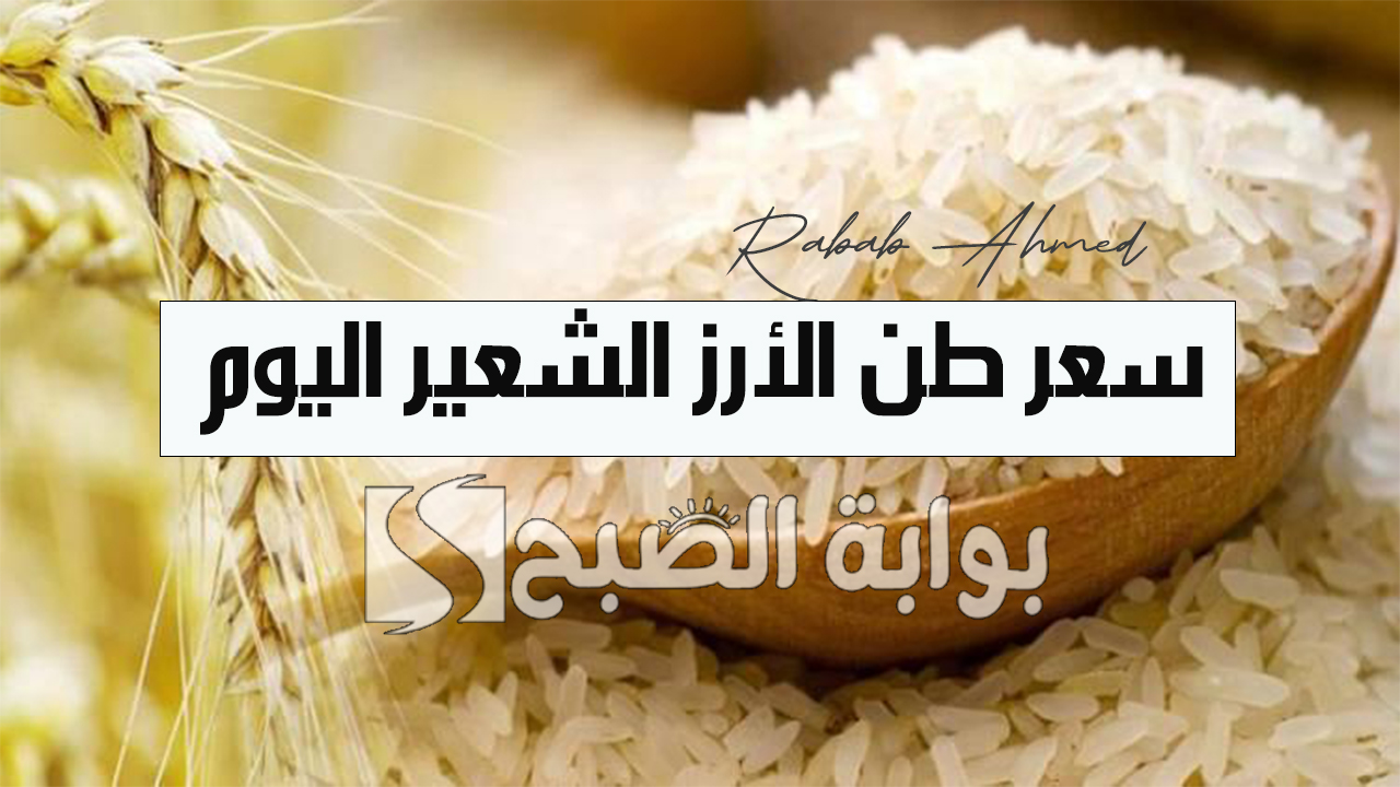 “بكام النهاردة”.. سعر طن الأرز الشعير اليوم الجمعة 11 أكتوبر 2024 وأسعار السلع الاساسية في الأسواق