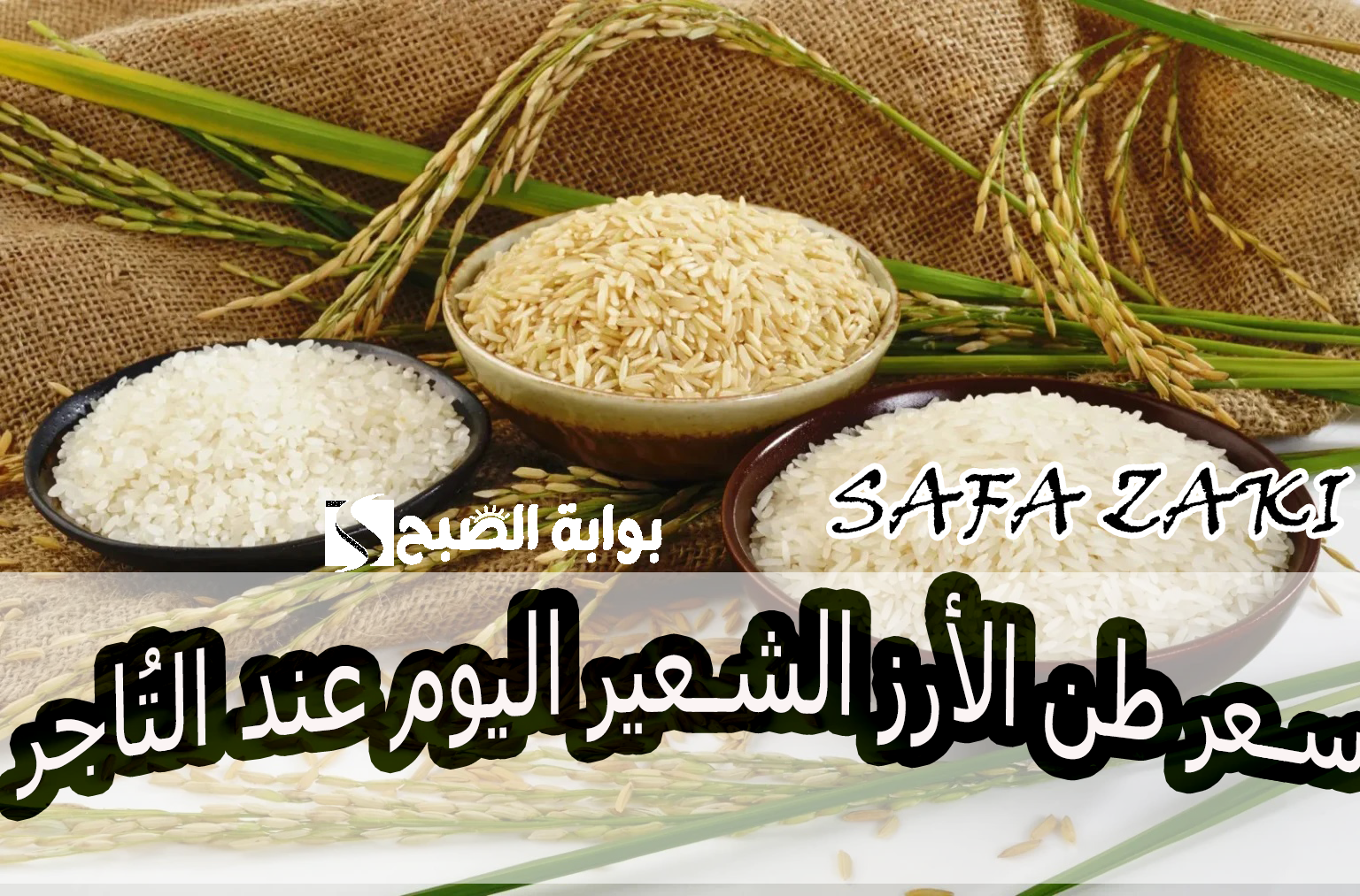 بعد التراجع “الطن وصل بكام”.. سعر طن الأرز الشعير اليوم الخميس 17 أكتوبر 2024 بكام شيكارة الأرز عند التاجر