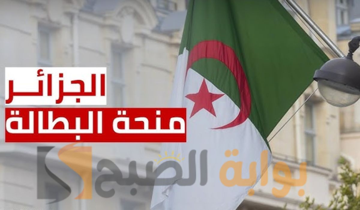 ما هي خطوات التقديم على منحة البطالة بالجزائر 2024 والشروط المطلوبة؟.. تعرف عليها الآن
