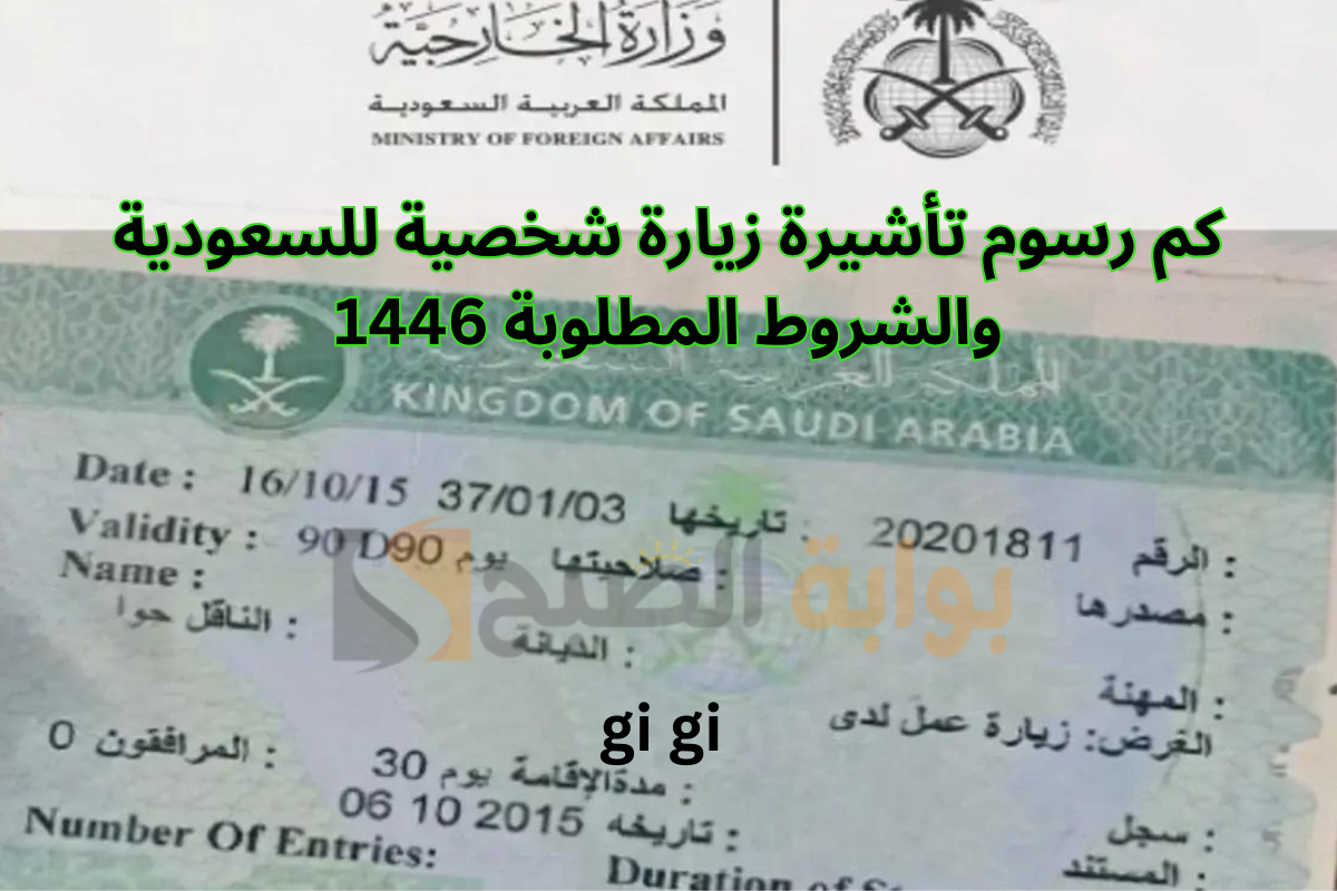 كم رسوم تأشيرة زيارة شخصية للسعودية والشروط المطلوبة 1447؟ دليل شامل