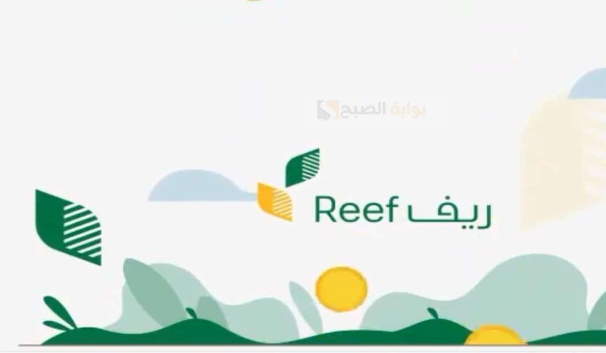 كم مدة دراسة دعم ريف 1446 ومعنى حالة الطلب تحت الدراسة